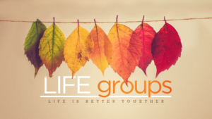LIFE GROUPS, adults
